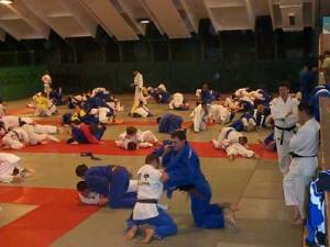 Foto Training in der Judohalle