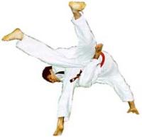 Foto Judoker